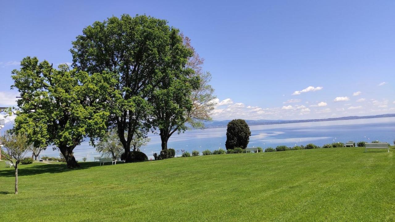 Front Lake Amazing View Manerba del Garda Exterior foto